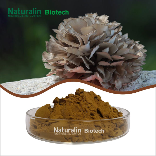 Maitake Mushroom Extract Powder